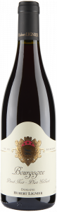 Bourgogne Pinot Noir "Plan Gilbert"